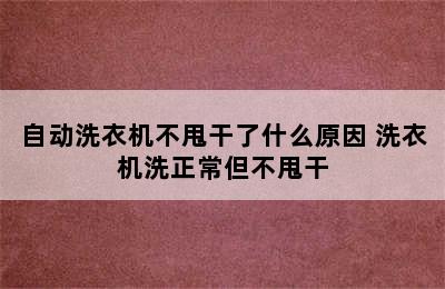 自动洗衣机不甩干了什么原因 洗衣机洗正常但不甩干